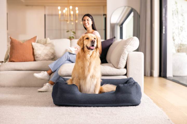 PET Intex