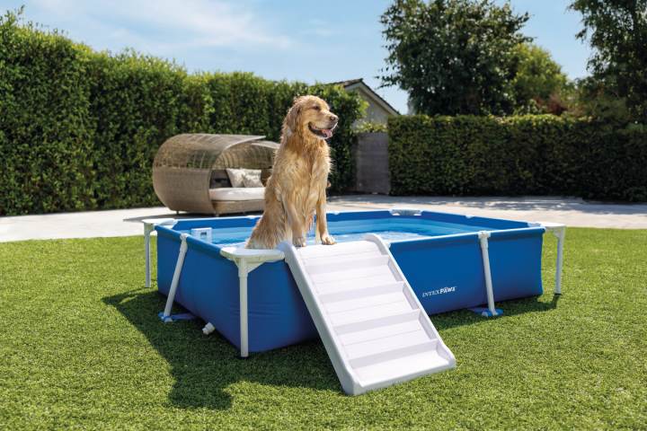 PET Intex