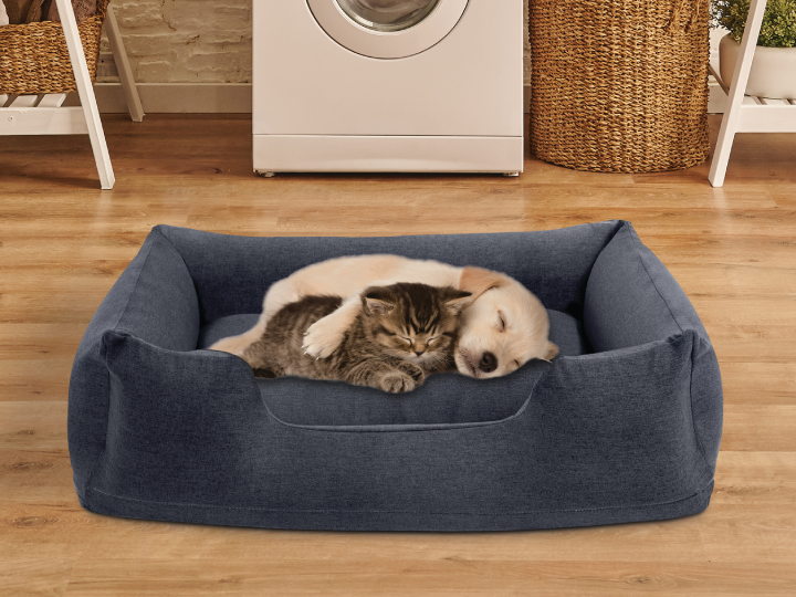 PET Intex